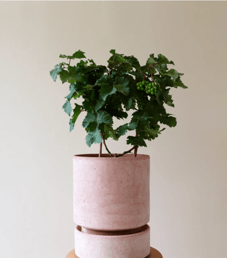 Bergs Hoff RAW Rosa, Ø 14 cm, Pot, Potte med rosa raw underskål