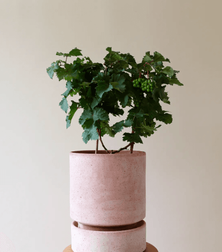 Bergs Hoff RAW Rosa, Ø 21 cm, Pot, Potte med raw rosa underskål