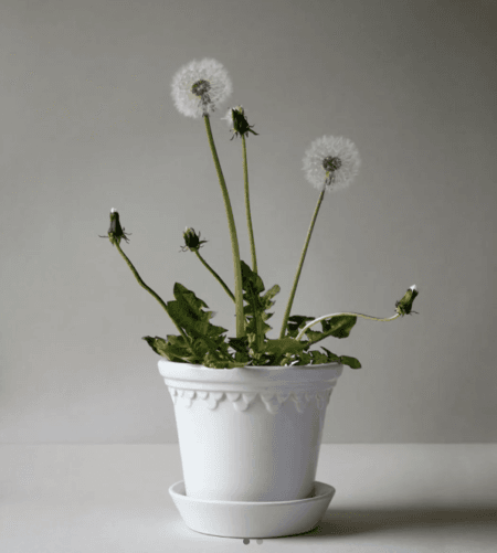 Bergs Potte, Københavner GLAZED Mineral White, Blomsterpotte Ø 14 cm