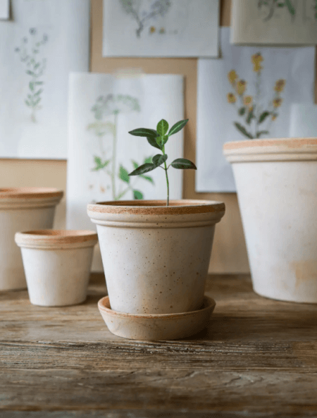 Bergs Potte, Flora RAW Rosa, Ø 16 cm H 15 cm, Håndlaget Terracottapotte Med Underskål