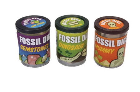 Assorted Fossil Dig in Tub, Hobbysett, grav ut en skatt