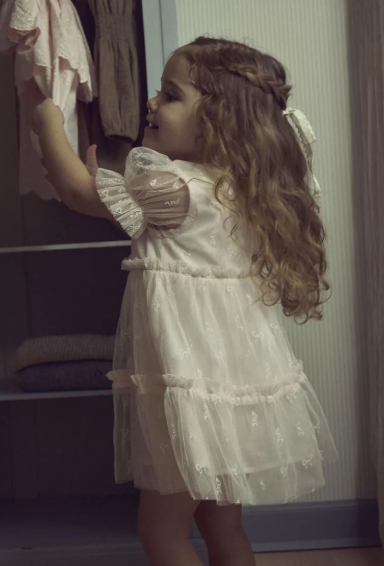 LIL ATELIER, ROSETTA SS LOOSE DRESS, Tyllkjole, Almost Mauve, Rosa