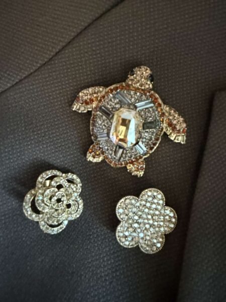Rosenvinge Broche, Skilpadde med strass stener - gull