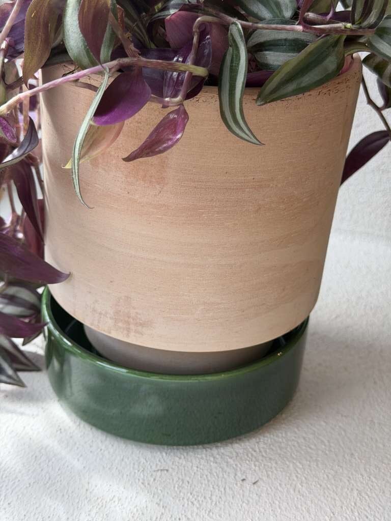 Bergs Hoff Raw Rosa Med Emerald Green / Grønn Saucer/ Skål 16 cm - Bilde 3
